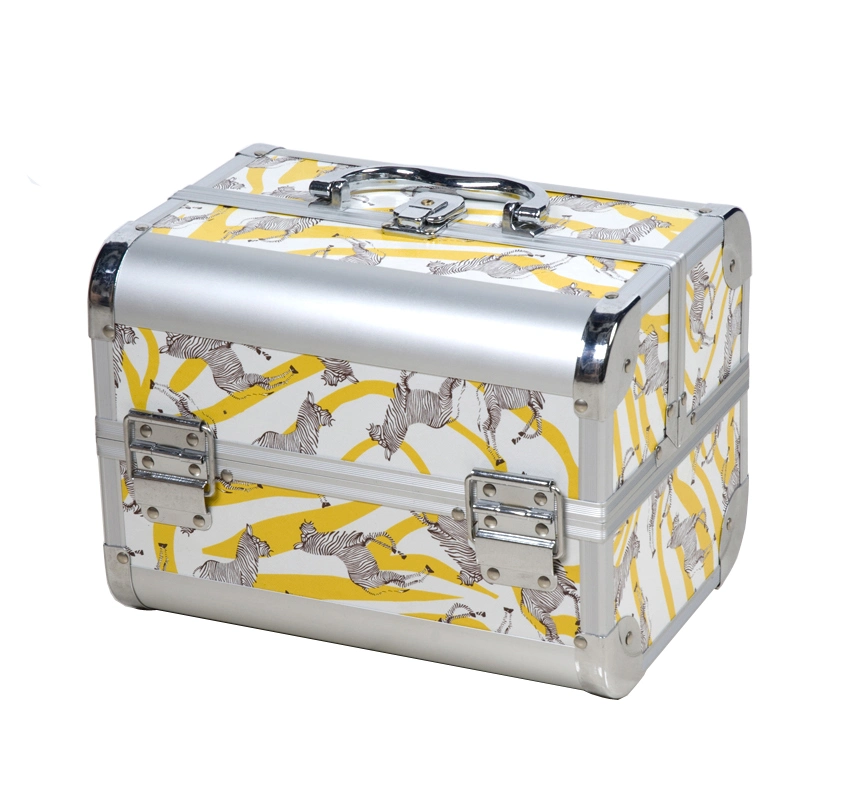 2019 New Fashion Makeup Vanity Box Hairdressing Beauty Nail Study Case Cosmetic Aluminum Storage Beauty Case