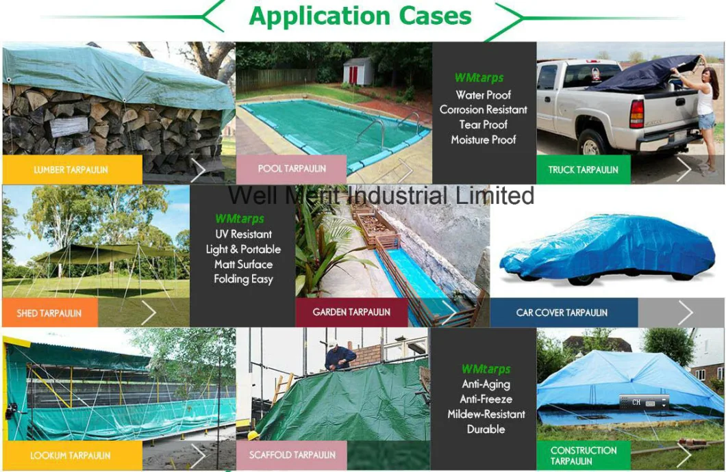 HDPE Tarpaulin/ Polyethylene Tarpaulin/ Poly Tarp