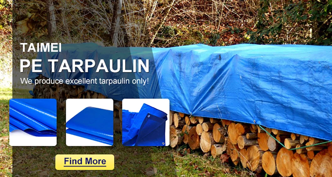 Waterproof Poly Tarp Fabric Plastic PE Tarpaulin Manufacturer Poly Tarp for General Purpose Covers